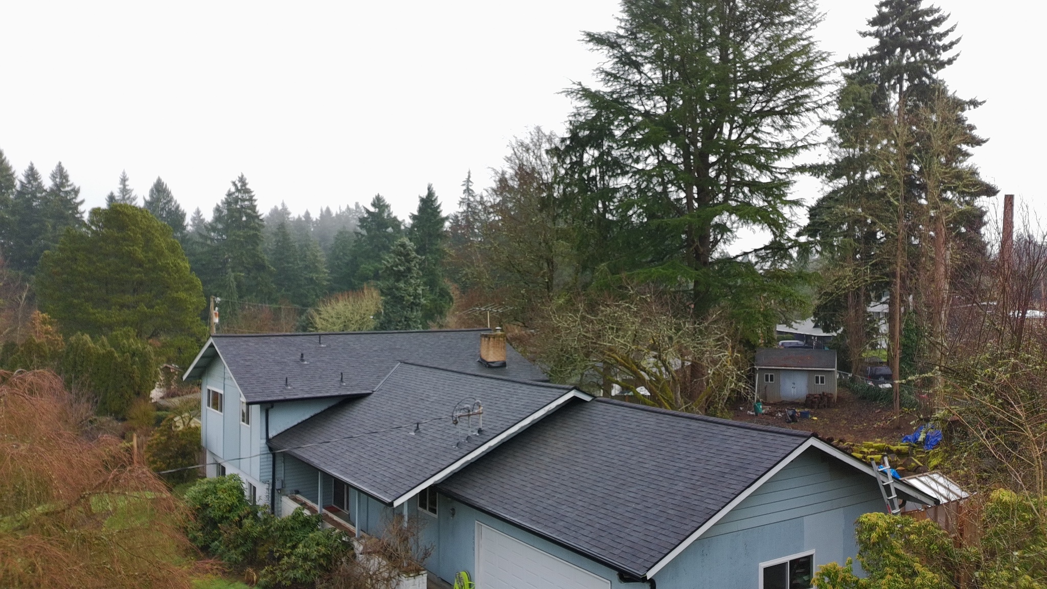 Aerial drone view of dark shingle roof on blue house surrounded by Pacific NW forest